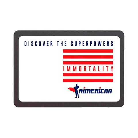 SSD 256GB Aimerican Immortality SATA