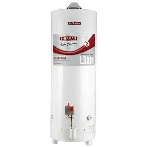 Termotanque SHERMAN 80 lts Conexión Superior de Pie Multigas