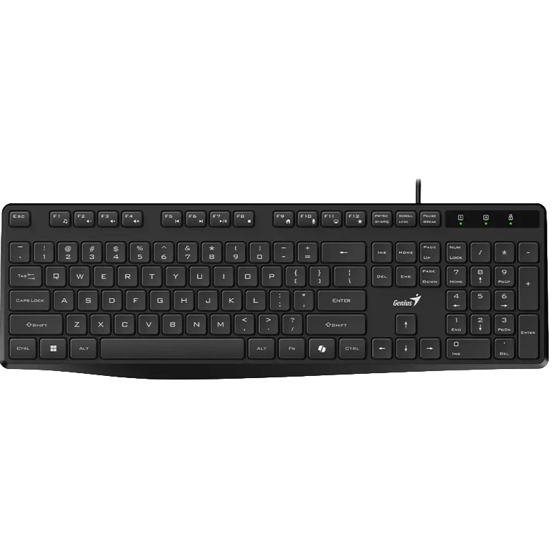 Teclado GENIUS KB-117S USB Black