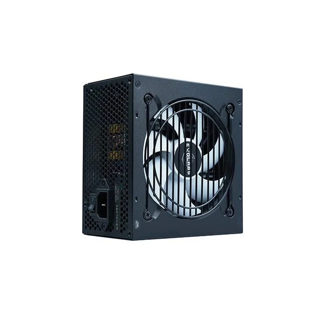 Fuente Evolabs 600w Power Series